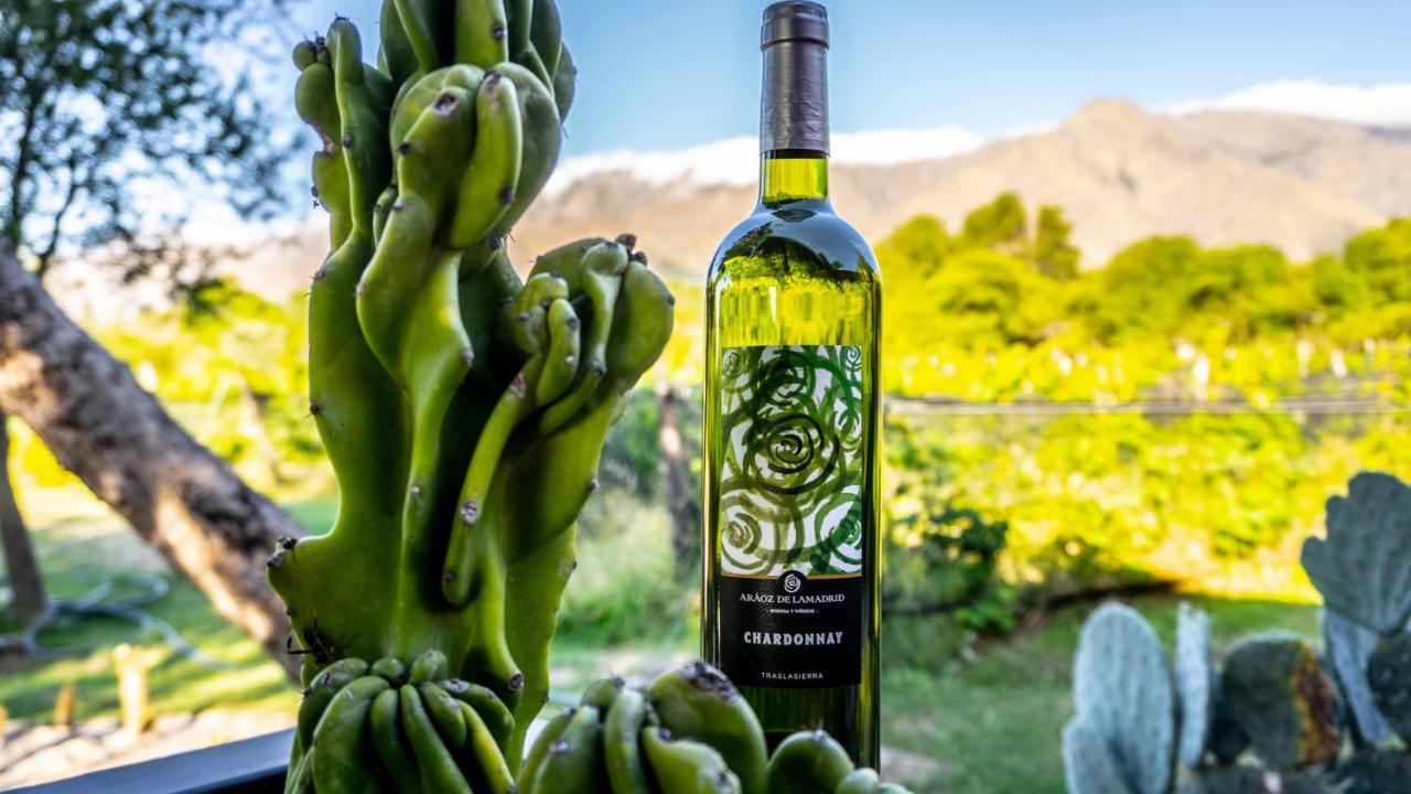 Araoz De Lamadrid Hotel&Bodega San Javier  Luaran gambar