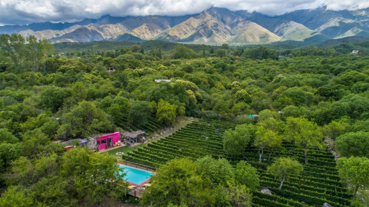 Araoz De Lamadrid Hotel&Bodega San Javier  Luaran gambar